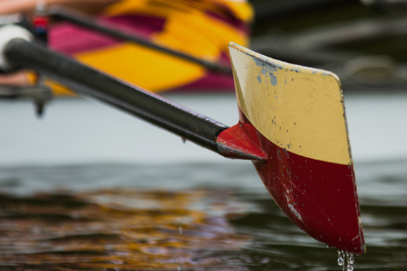 Durham Regatta close up of boat paddle